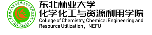 2026世界杯官网